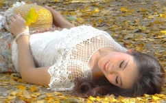 含羞草高清视频在线观看